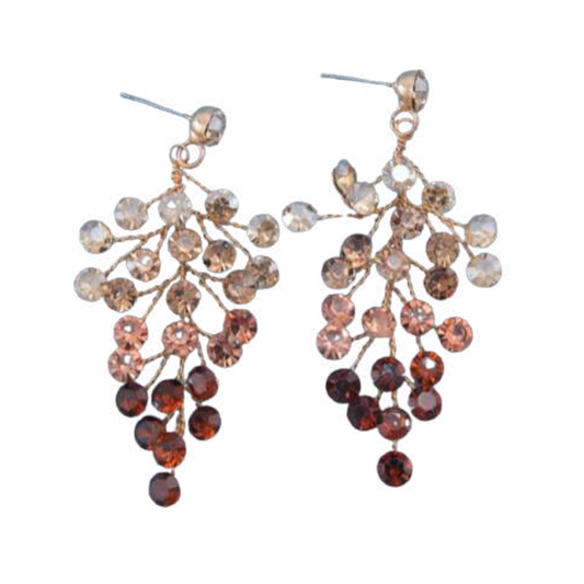 Champagne Collection